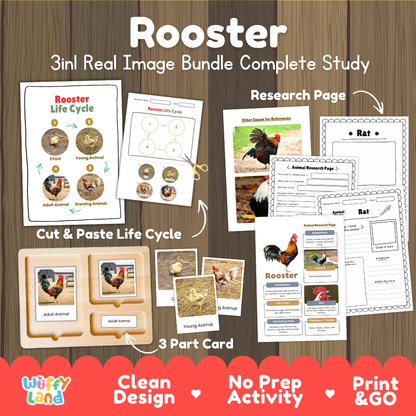 Rooster 3-in-1 real image bundle complete study cover showing cut and paste life cycle, 3 part cards, and research pages