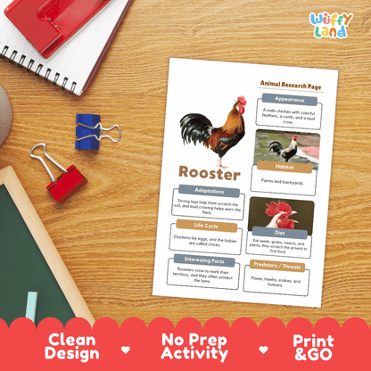 Rooster Animal Research Page Worksheets and Fact Sheet Activity