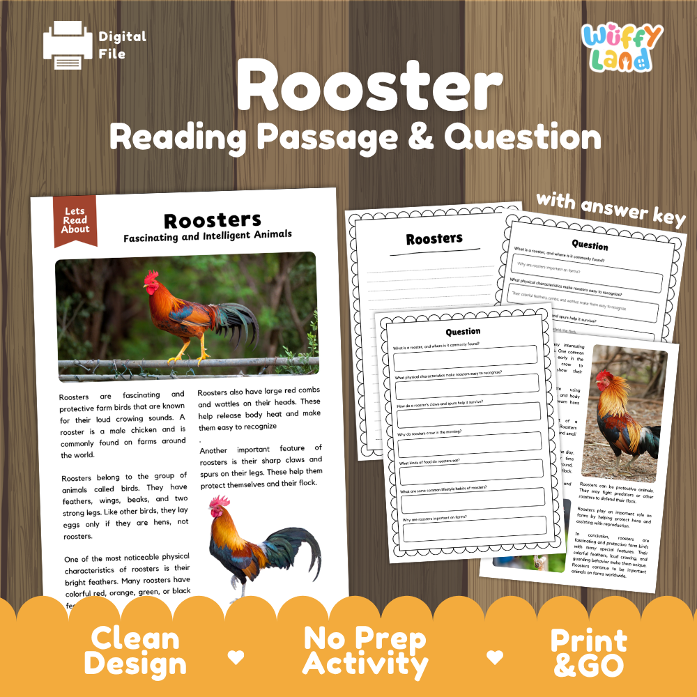 Roosters Reading Passage and Comprehension Questions Worksheets with Answer Key