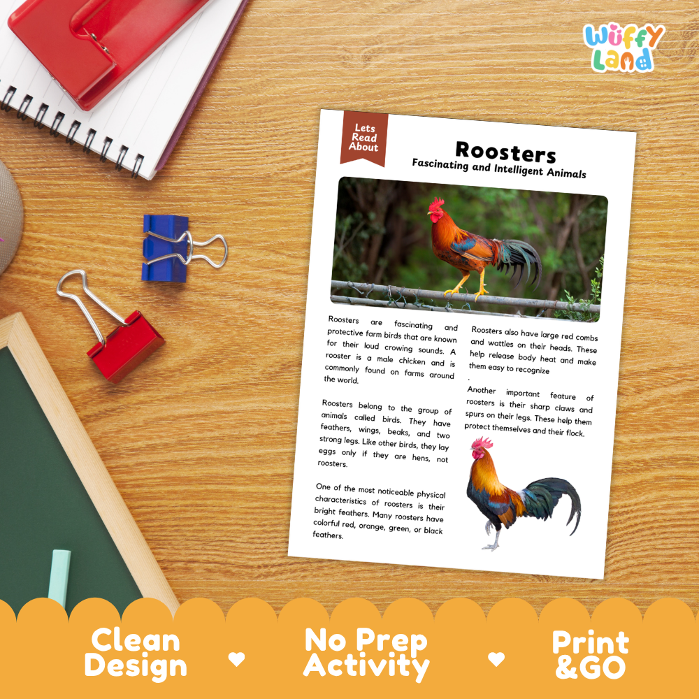 An educational activity sheet titled 'Roosters: Fascinating and Intelligent Animals' displayed on a wooden desk with binder clips, alongside a spiral notebook and a red folder. The sheet features illustrations of roosters and text about them.