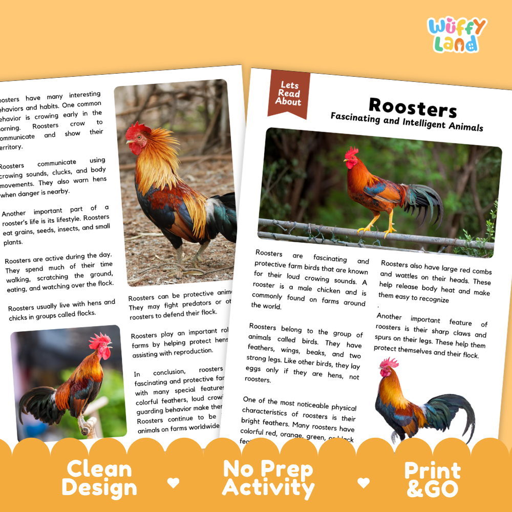 A children's educational activity booklet titled 'Roosters' from the brand 'Wiffly Land'. The booklet features a colorful cover with a photo of a rooster and text, displayed alongside two pages showing rooster activities and facts.