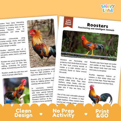 A children's educational activity booklet titled 'Roosters' from the brand 'Wiffly Land'. The booklet features a colorful cover with a photo of a rooster and text, displayed alongside two pages showing rooster activities and facts.