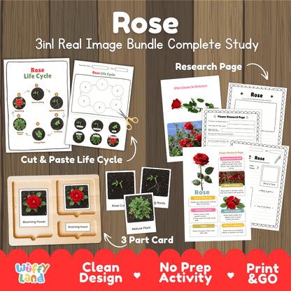 Rose plant 3in1 real image bundle complete study printable featuring life cycle cut and paste worksheets, Montessori 3-part cards, and research pages