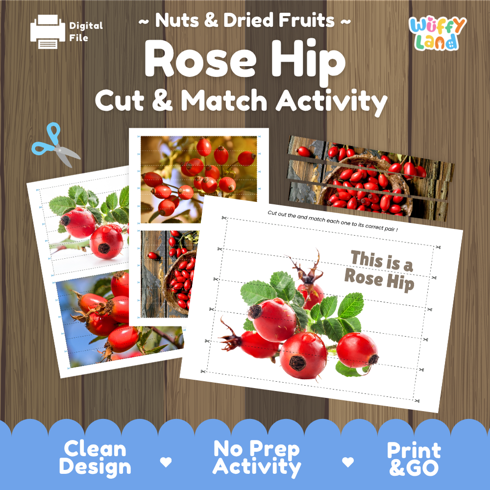 Rose hip cut and match activity cover showing printable fine motor puzzle sheets and plant photographs