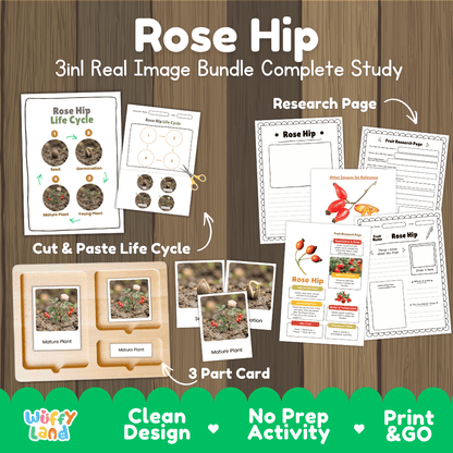Rose hip plant life cycle 3in1 real image bundle complete study overview featuring cut and paste worksheets, Montessori 3-part cards, and research pages from Wuffy Land 🌹🌱