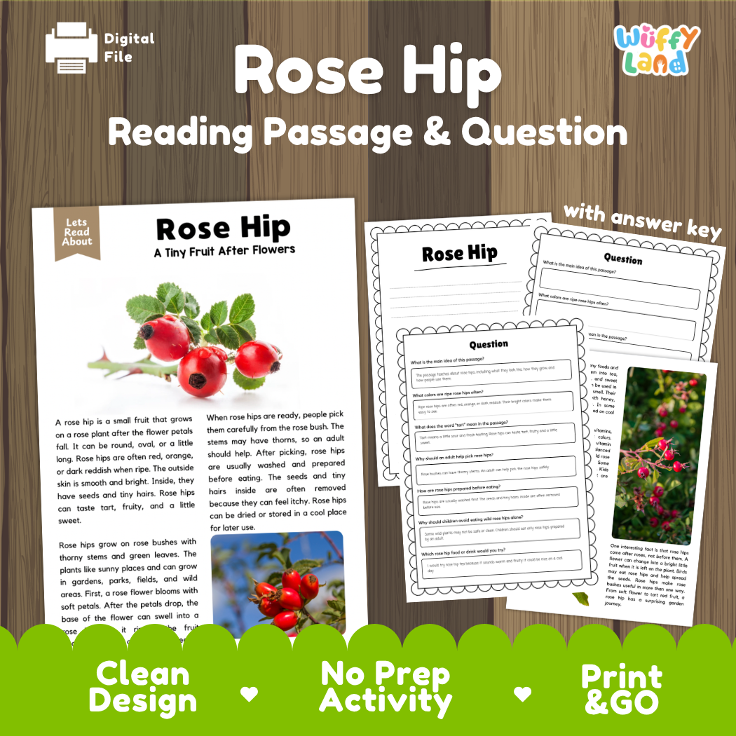 Rose Hip reading comprehension passage and questions printable activity pack with answer key for elementary students