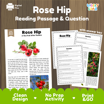 Rose Hip reading comprehension passage and questions printable activity pack with answer key for elementary students