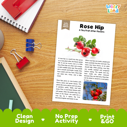 Student reading comprehension worksheet with short-answer questions and lined sections about the rose hip fruit
