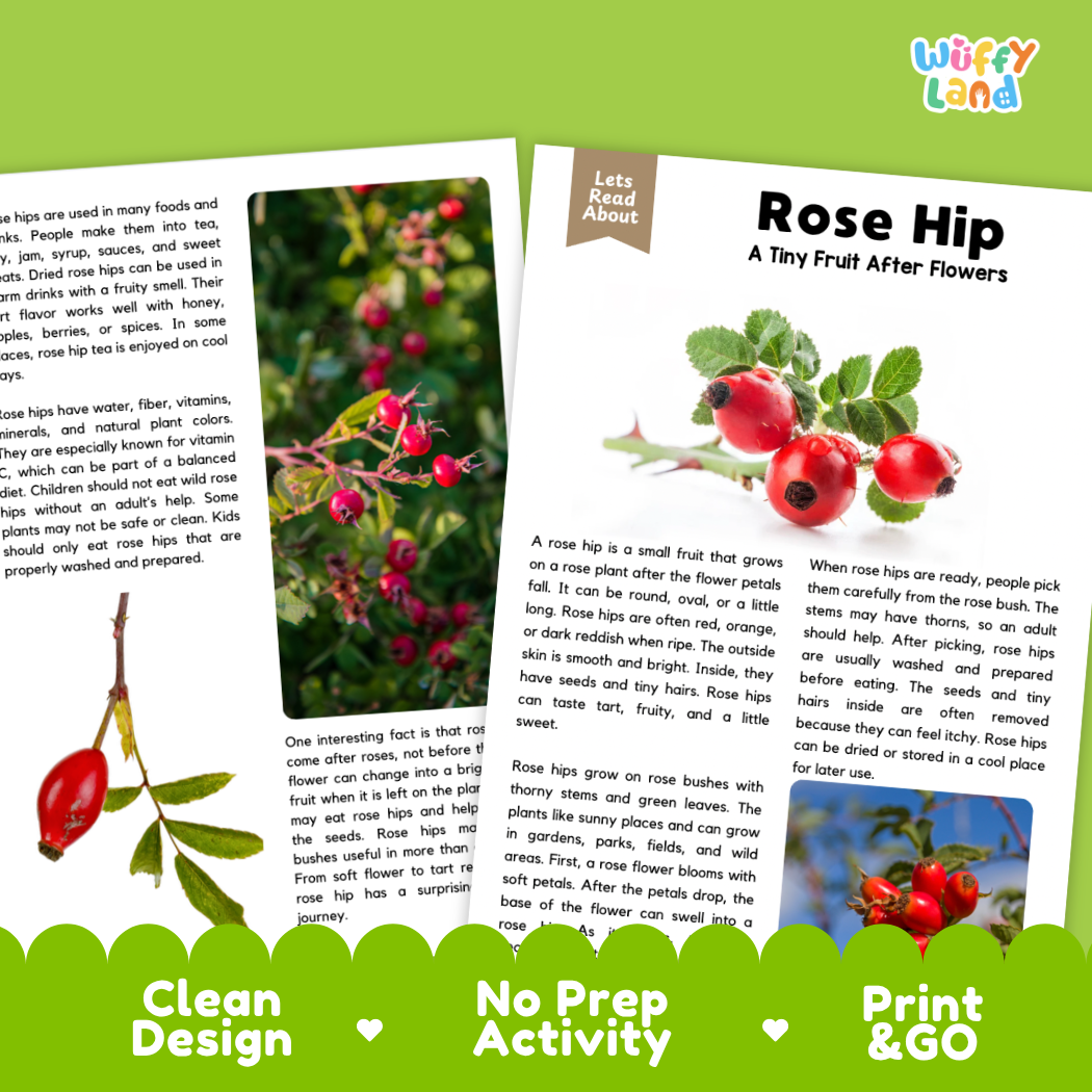 Teacher answer key page showing complete question solutions for Rose Hip nature and science reading comprehension practice