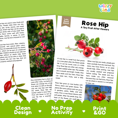 Teacher answer key page showing complete question solutions for Rose Hip nature and science reading comprehension practice