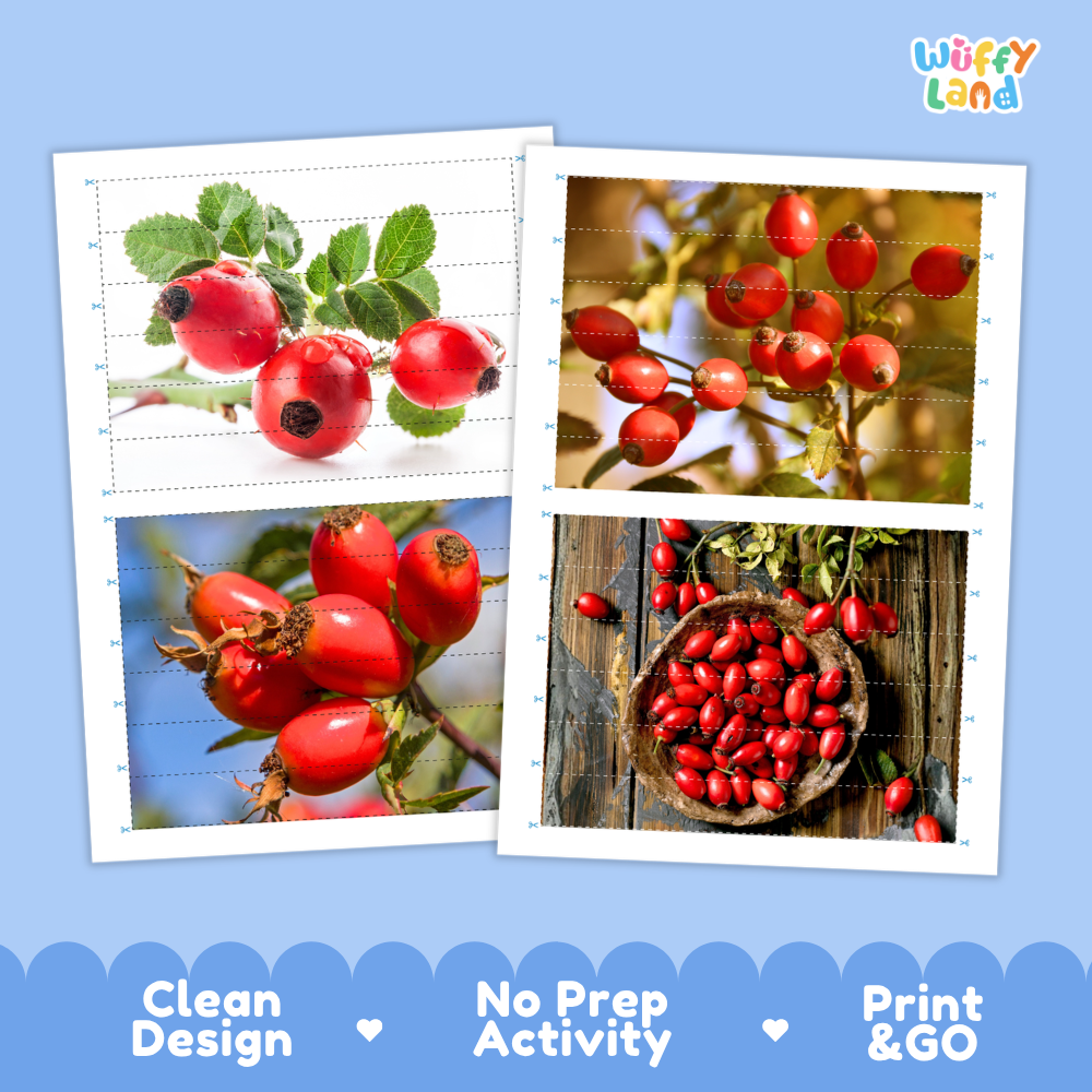 Printable activity sheets featuring photographic rose hip puzzle boards and cutting guides