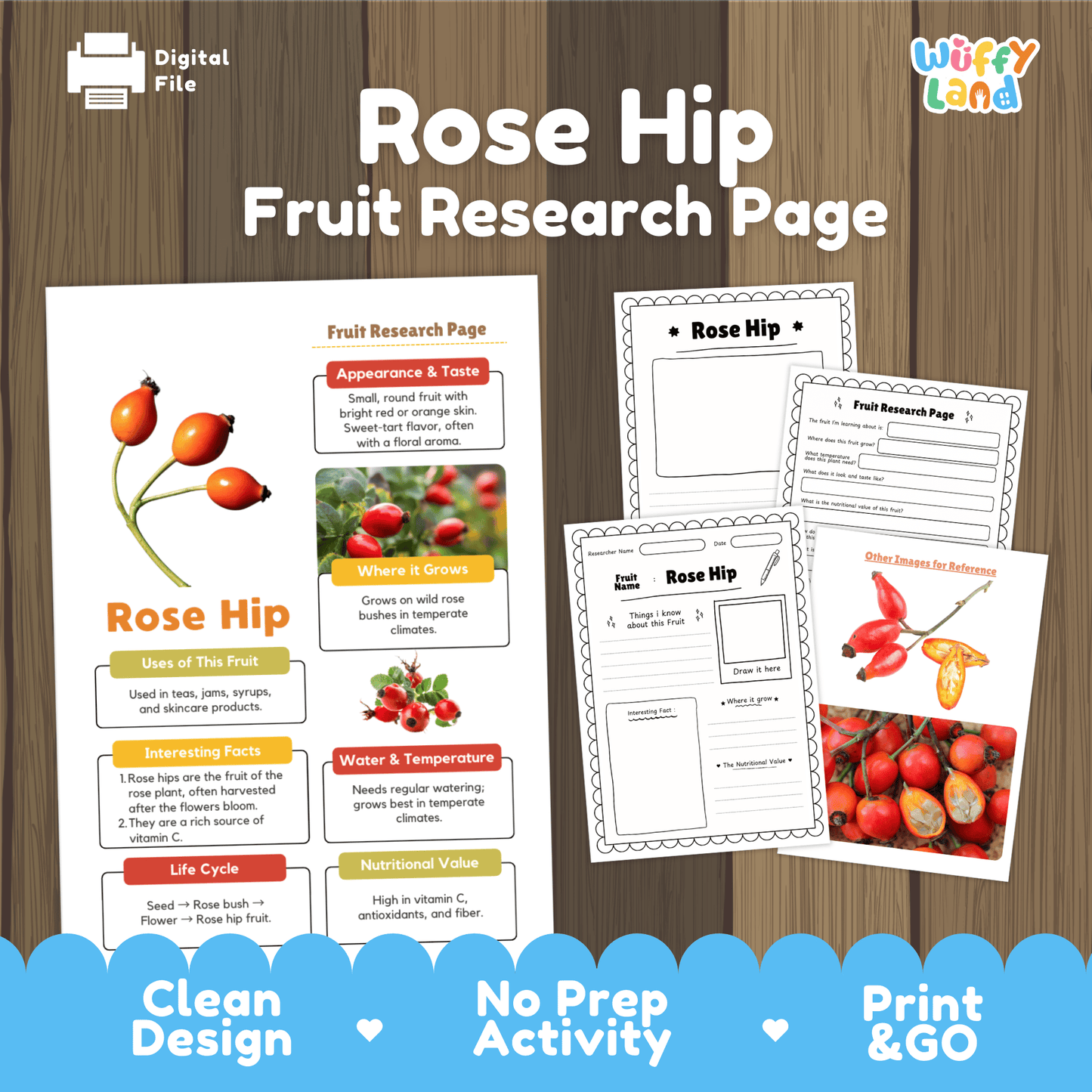 Rose Hip Fruit Research Activity Worksheet Science Plant Life Cycle Edible Plant