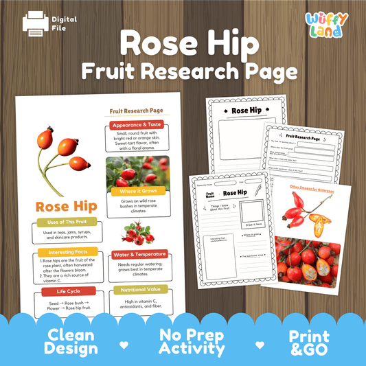 Rose Hip Fruit Research Activity Worksheet Science Plant Life Cycle Edible Plant