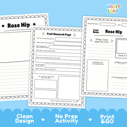 Rose Hip Fruit Research Activity Worksheet Science Plant Life Cycle Edible Plant