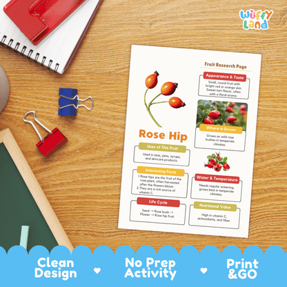 Rose Hip Fruit Research Activity Worksheet Science Plant Life Cycle Edible Plant