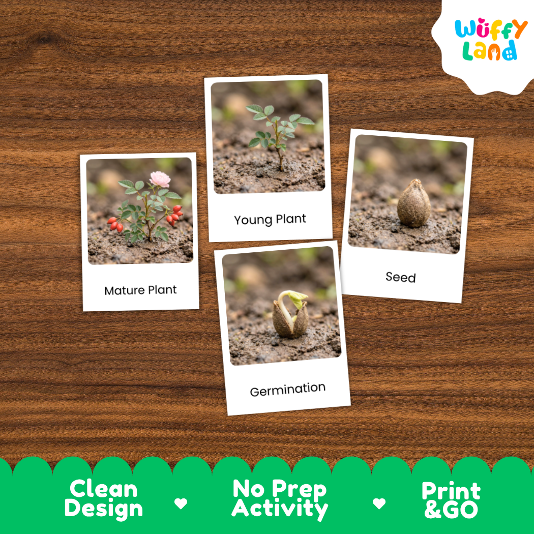 Four printed cards showing plant growth stages labeled Mature Plant, Young Plant, Seed, and Germination, arranged on a brown wood background. The Wuffy Land logo appears in the top right, and a green banner at the bottom reads Clean Design, No Prep Activity, and Print & GO.
