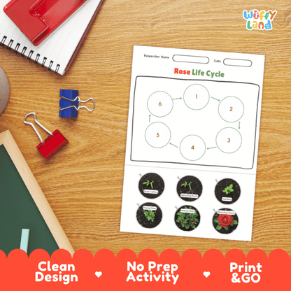 Rose Lifecycle Poster and Cut and Paste Activity Worksheets | Plant Science Printables