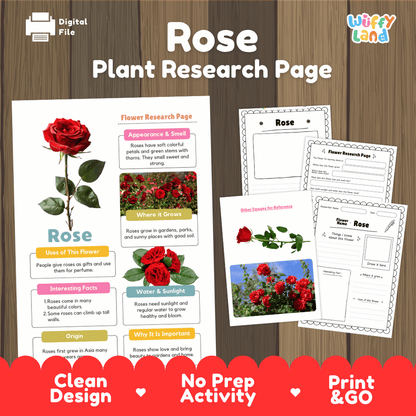 Rose Plant Research Page and Worksheets Print and Go Activity