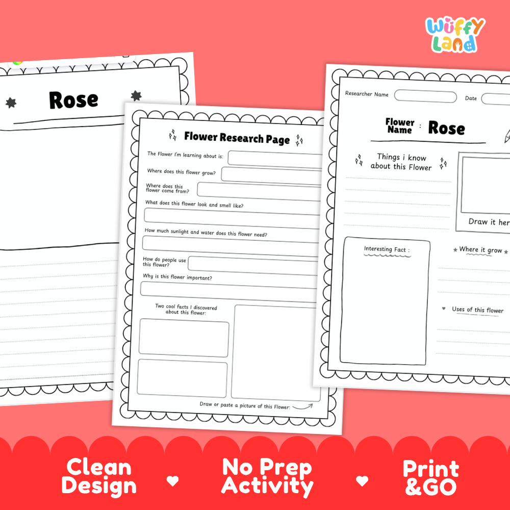 Rose Plant Research Page and Worksheets Print and Go Activity