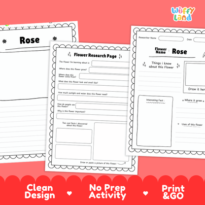 Rose Plant Research Page and Worksheets Print and Go Activity
