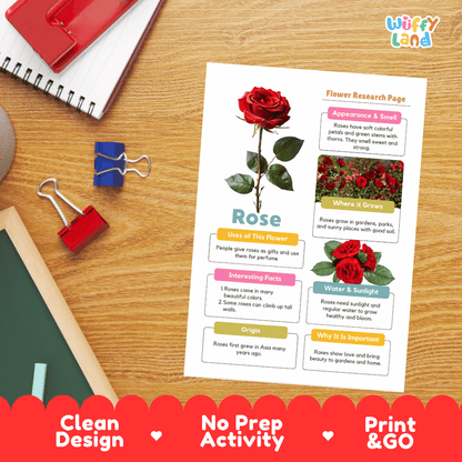 Rose Plant Research Page and Worksheets Print and Go Activity