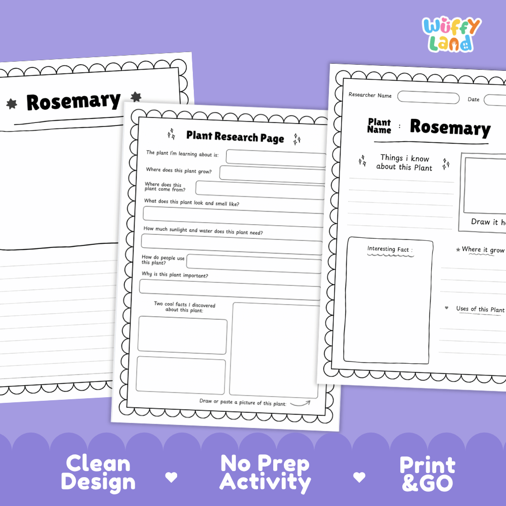 Rosemary Plant Research Pages and Worksheets
