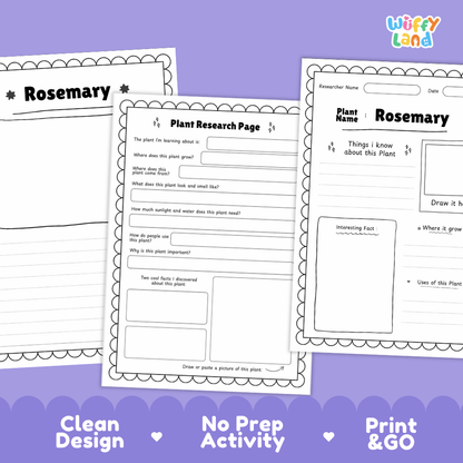 Rosemary Plant Research Pages and Worksheets