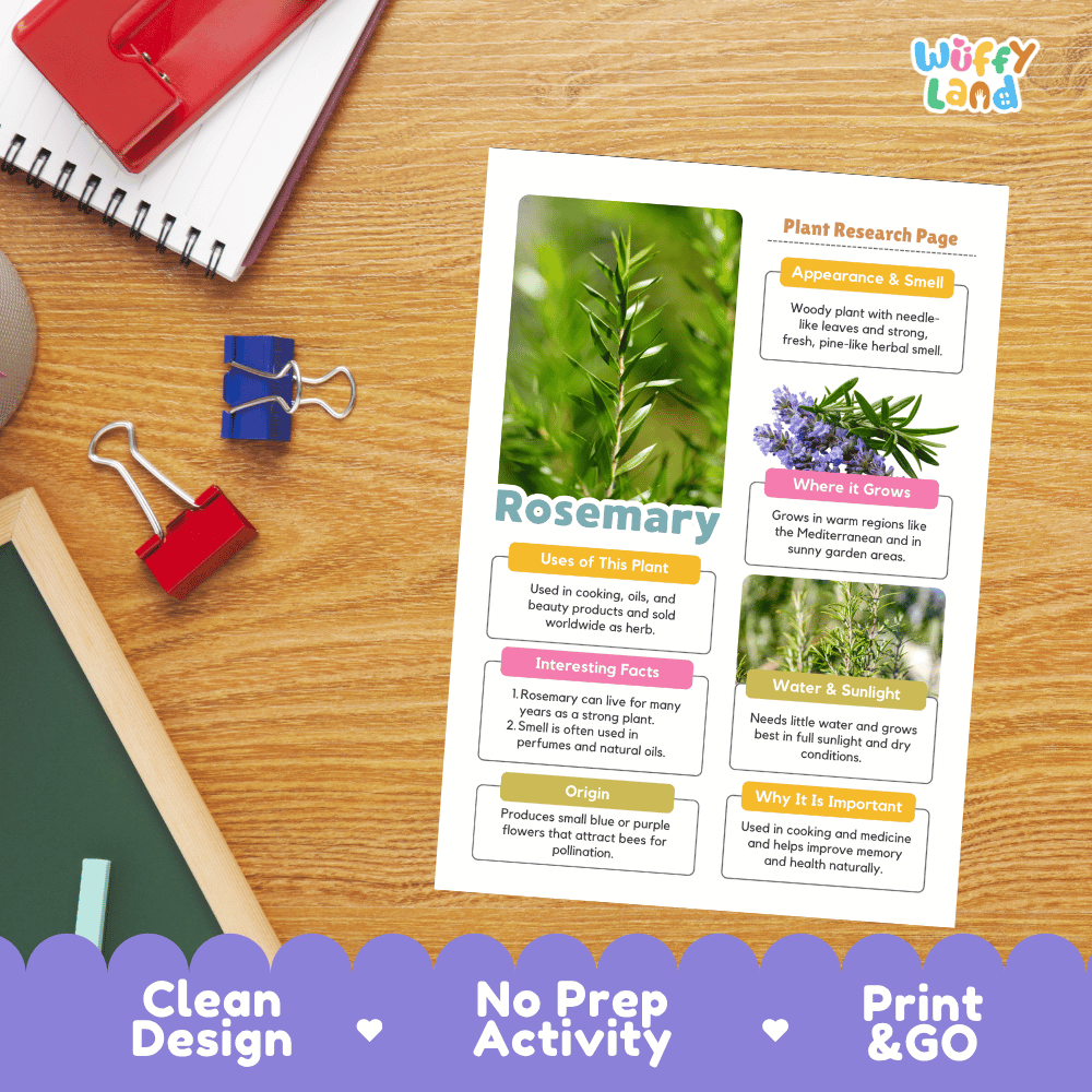 Rosemary Plant Research Pages and Worksheets