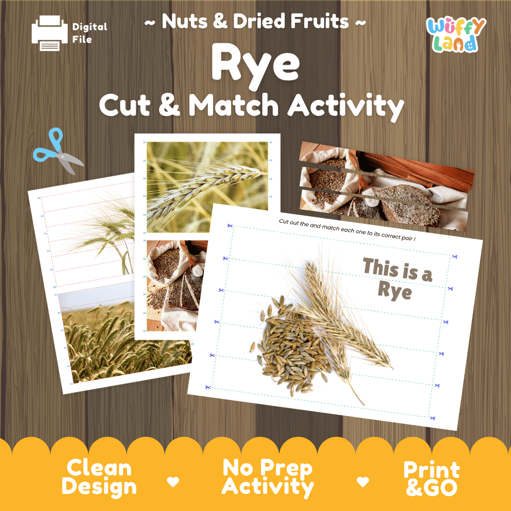 Rye Cut and Match Activity Worksheets | Nuts and Dried Fruits Puzzle Printables