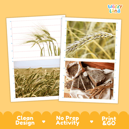 Rye Cut and Match Activity Worksheets | Nuts and Dried Fruits Puzzle Printables
