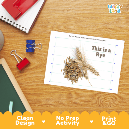 Rye Cut and Match Activity Worksheets | Nuts and Dried Fruits Puzzle Printables