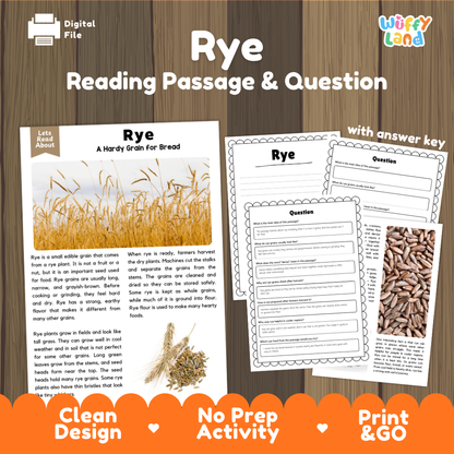 Rye Reading Passage and Comprehension Questions Worksheets with Answer Key