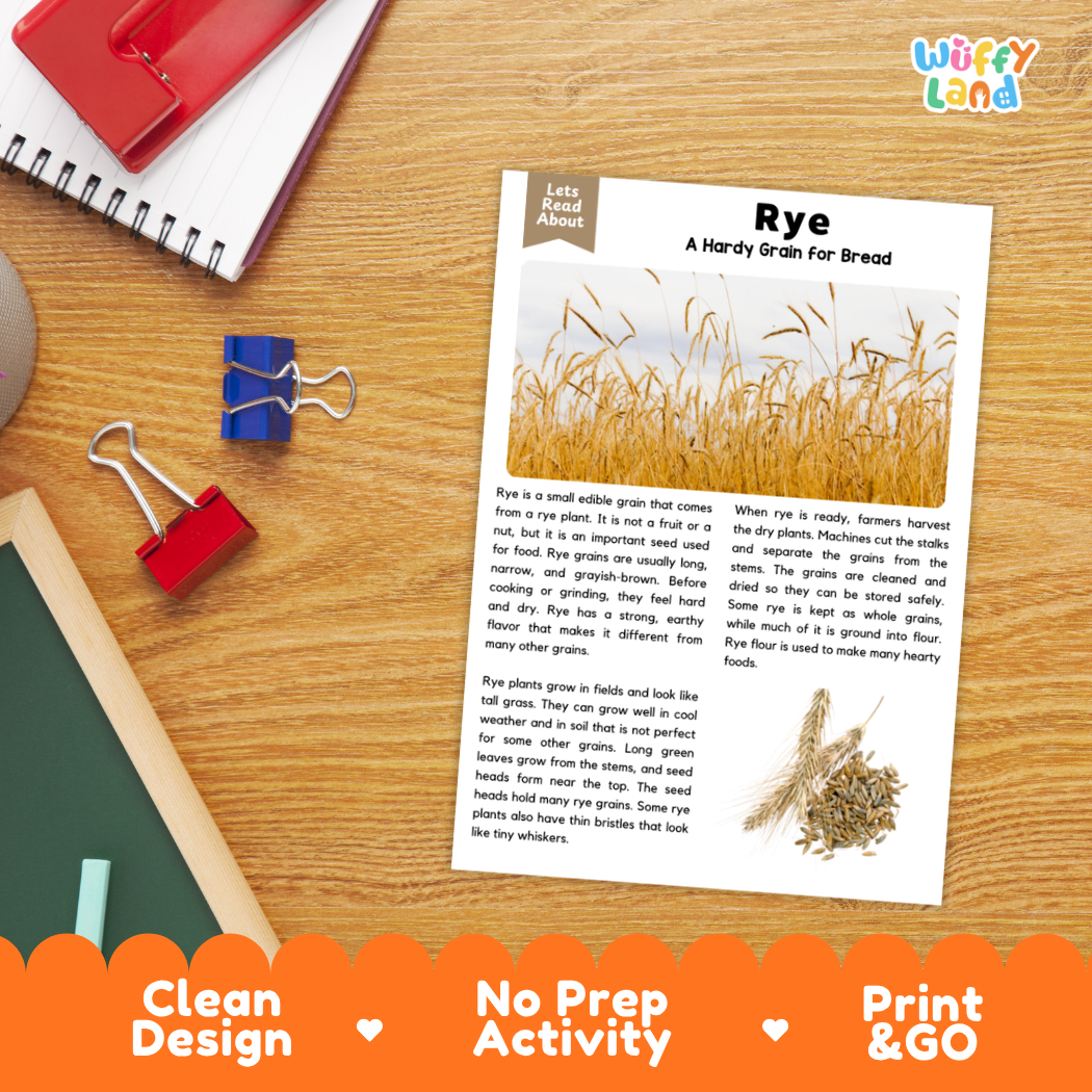Rye Reading Passage and Comprehension Questions Worksheets with Answer Key