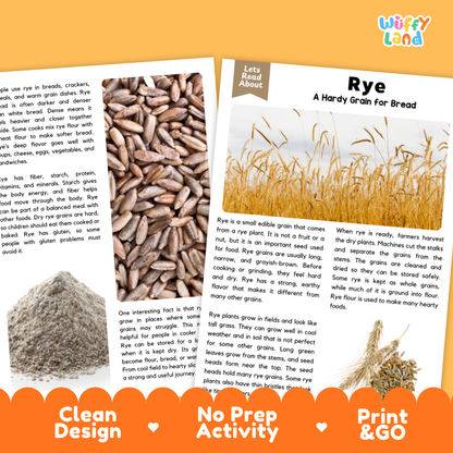 Rye Reading Passage and Comprehension Questions Worksheets with Answer Key