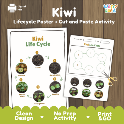 Kiwi Lifecycle Poster and Cut and Paste Activity Worksheets | Plant Science Printables