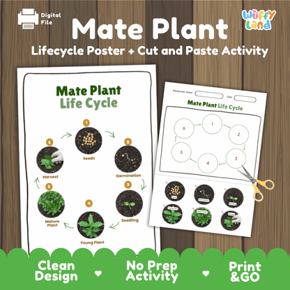 Mate Plant Lifecycle Poster and Cut and Paste Activity Worksheets | Plant Science Printables