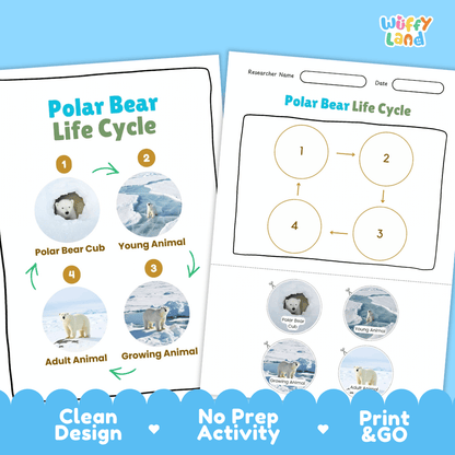 Polar Bear Life Cycle Poster and Cut and Paste Activity Worksheets