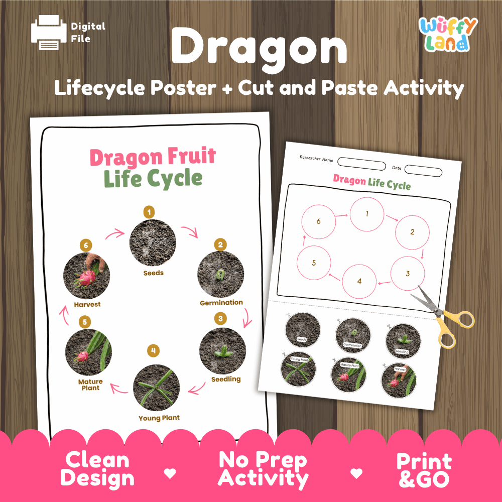 Dragon Fruit Life Cycle Poster and Cut and Paste Activity Worksheets