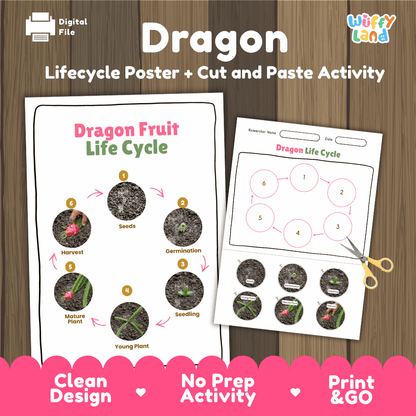 Dragon Fruit Life Cycle Poster and Cut and Paste Activity Worksheets