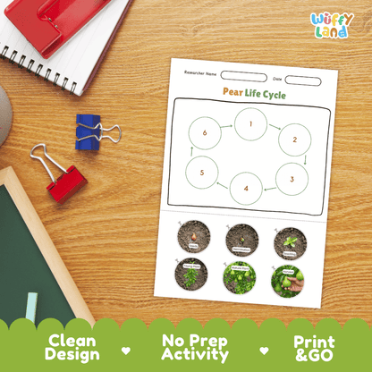 Pear Life Cycle Poster and Cut and Paste Activity Worksheets
