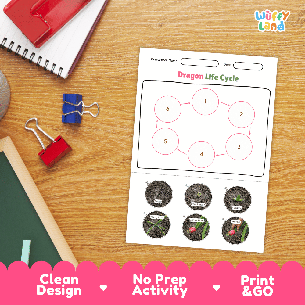 Dragon Fruit Life Cycle Poster and Cut and Paste Activity Worksheets