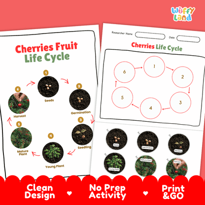 Cherries Fruit Life Cycle Poster and Cut and Paste Activity Worksheets