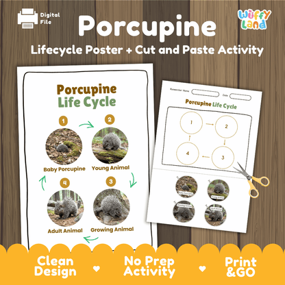 Porcupine Life Cycle Poster and Cut and Paste Activity Worksheets