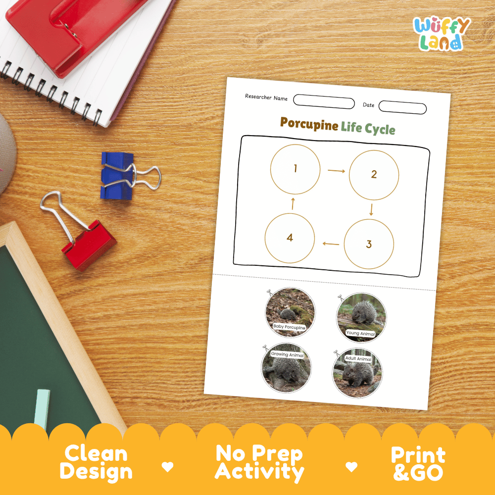 Porcupine Life Cycle Poster and Cut and Paste Activity Worksheets
