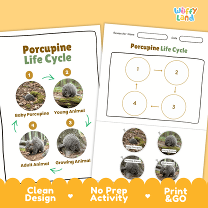 Porcupine Life Cycle Poster and Cut and Paste Activity Worksheets