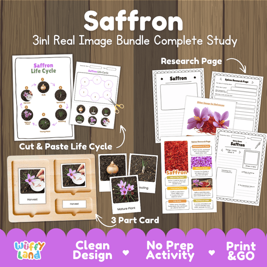 Saffron 3in1 real image bundle complete study printable featuring life cycle cut and paste worksheets, Montessori 3-part cards, and research pages
