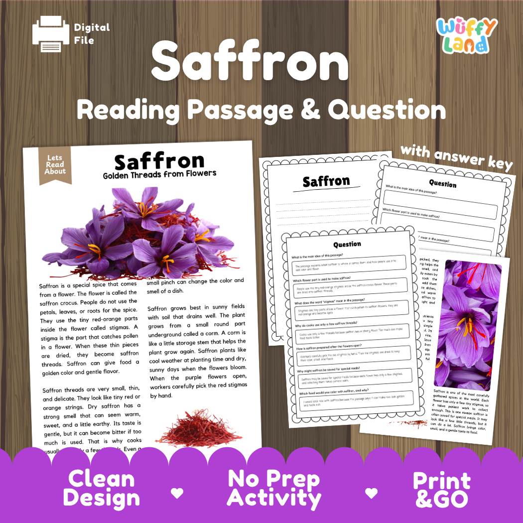 Saffron reading comprehension passage and questions printable activity pack with answer key for elementary students