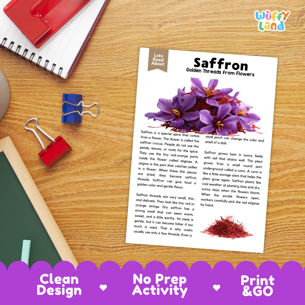 Student reading comprehension worksheet with short-answer questions and lined sections about saffron spice
