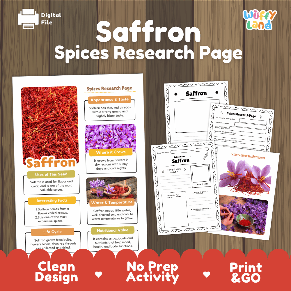 Saffron Spices Research Page Worksheets and Fact Sheet