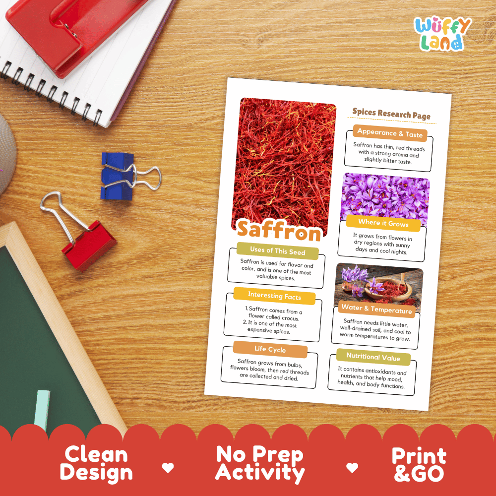 Saffron Spices Research Page Worksheets and Fact Sheet